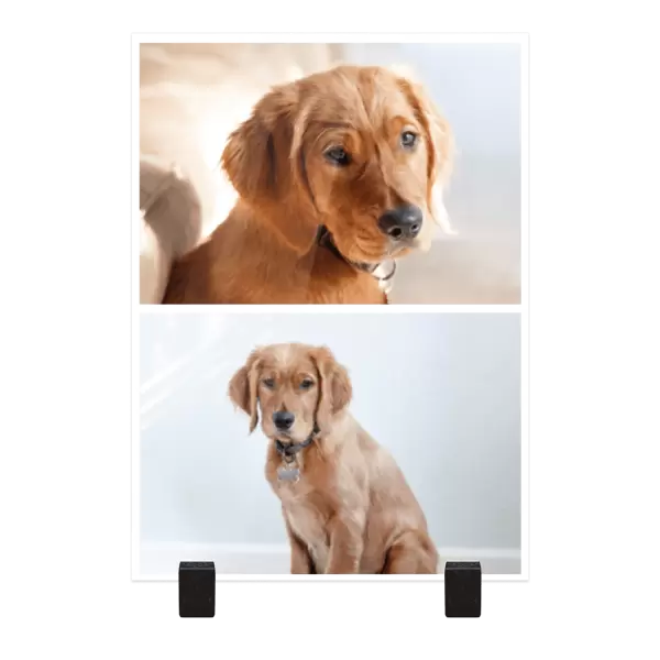 Plexi obrázek Koláž 2 fotky