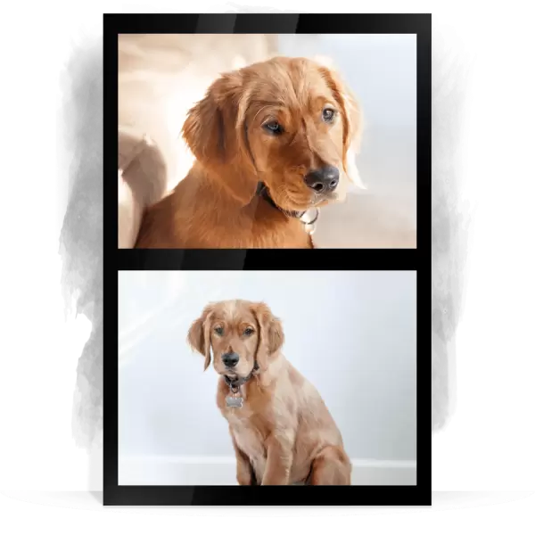 Plexi svatební fotoobraz Koláž 2 fotky