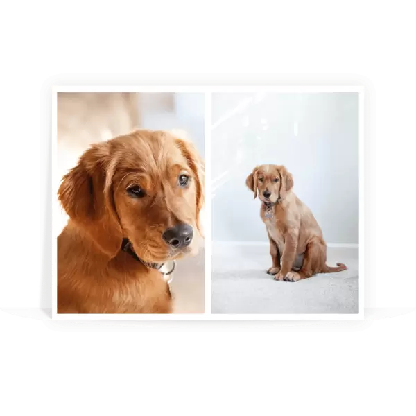 PVC svatební fotoobraz Koláž 2 fotky