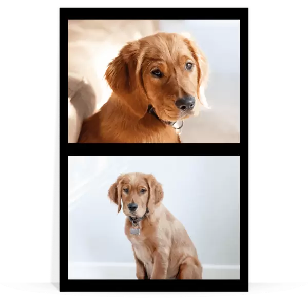 PVC svatební fotoobraz Koláž 2 fotky