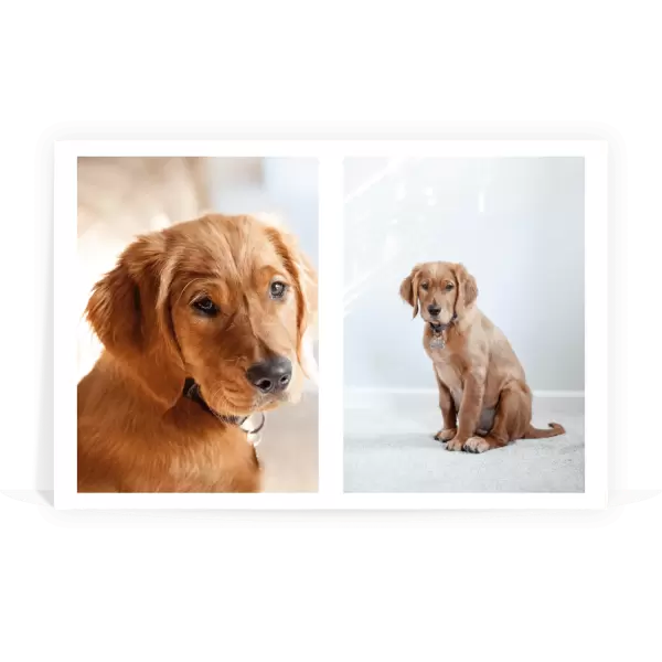 PVC svatební fotoobraz Koláž 2 fotky