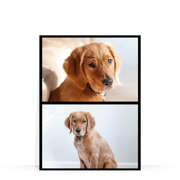 PVC svatební fotoobraz Koláž 2 fotky