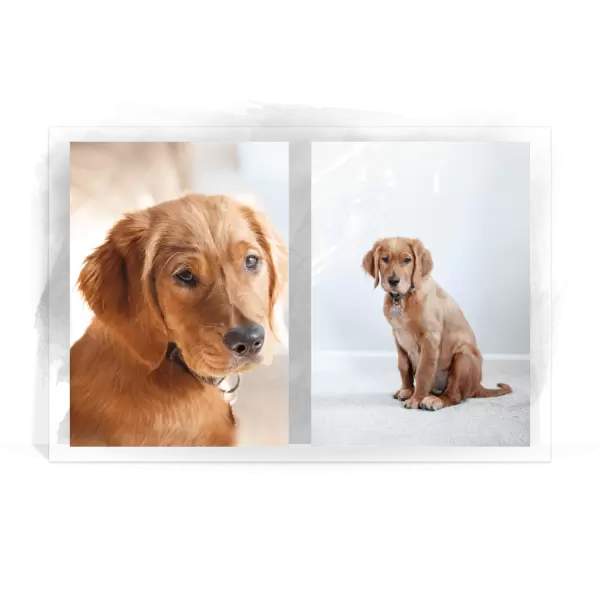 Plexi svatební fotoobraz Koláž 2 fotky