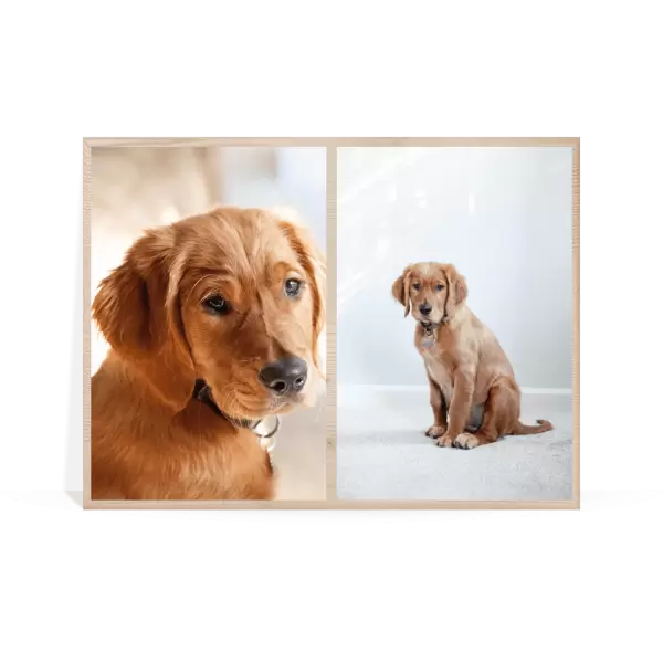 Dřevěný fotoobraz Koláž 2 fotky