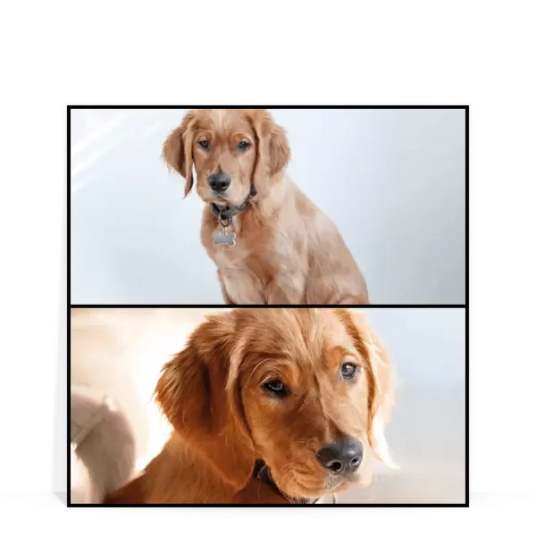 PVC svatební fotoobraz Koláž 2 fotky