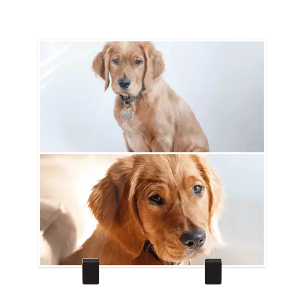 Plexi obrázek Koláž 2 fotky