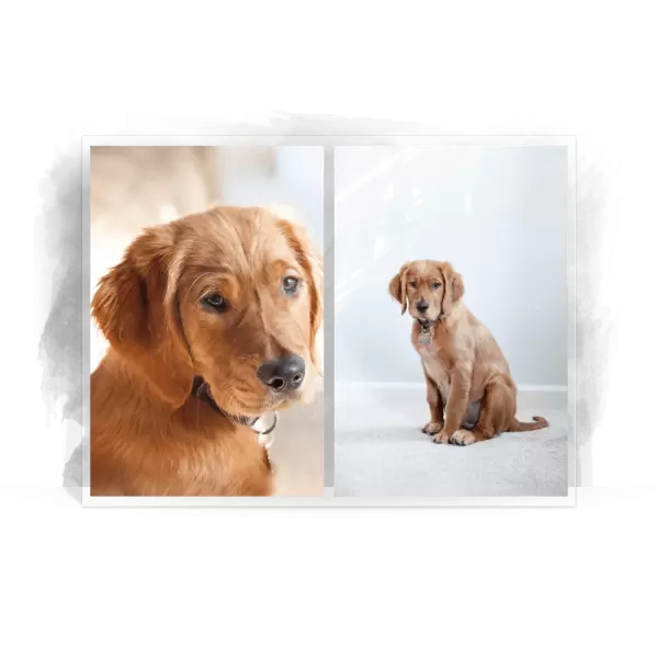 Plexi svatební fotoobraz Koláž 2 fotky