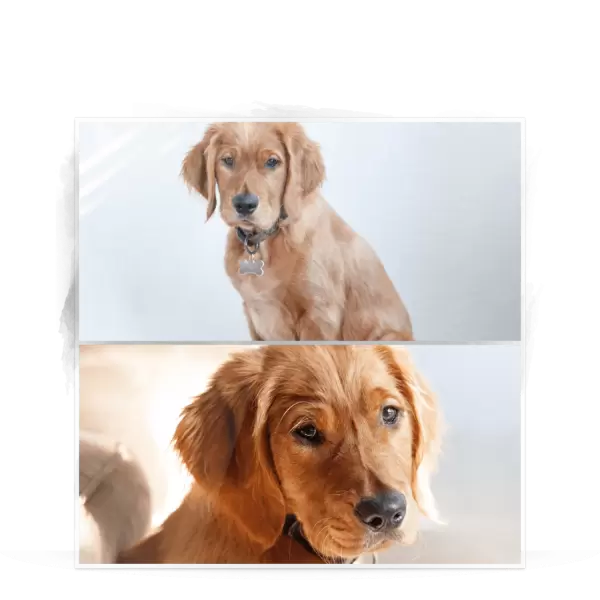 Plexi svatební fotoobraz Koláž 2 fotky