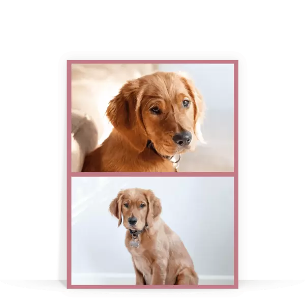 PVC svatební fotoobraz Koláž 2 fotky