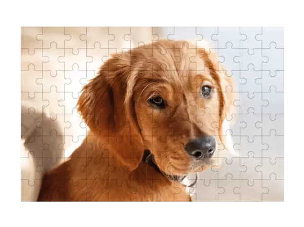 Puzzle Vlastná fotografia