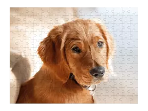 Puzzle  Vlastná fotografia