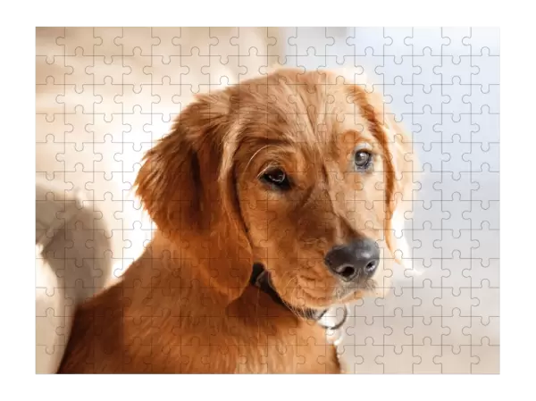 Puzzle Vlastná fotografia