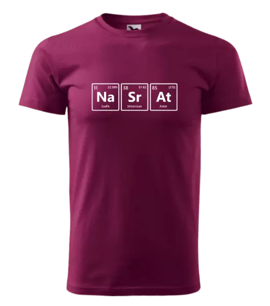 Pánské tričko NaSrAt