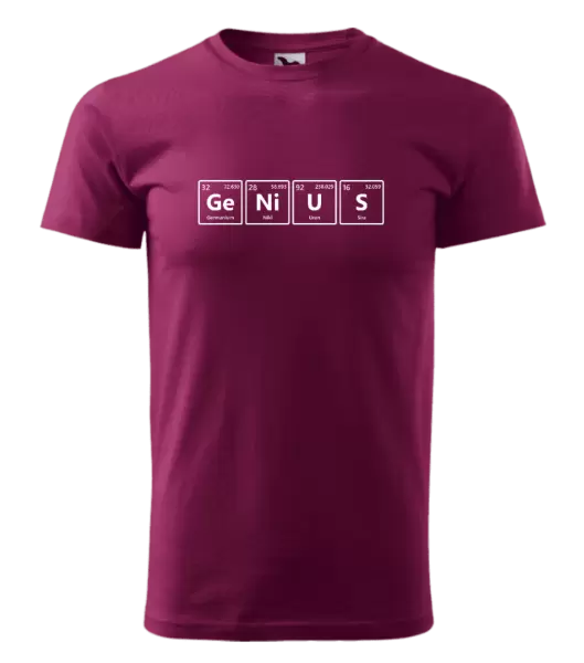 Pánské tričko GeNiUS