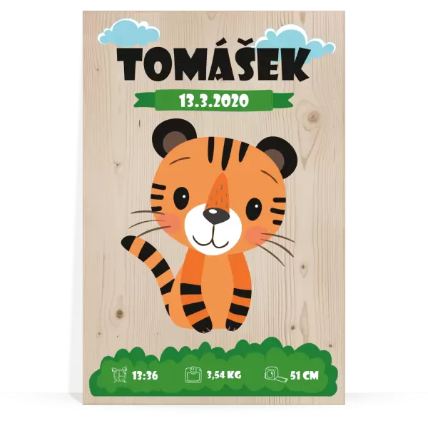 Dřevěný obraz Tygřík