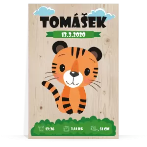 Dřevěný obraz Tygřík