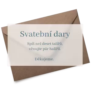 Plexi kartička dary SILVA