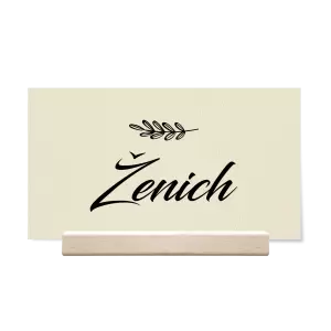 Papírová jmenovka LADY