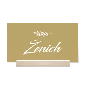 Papírová jmenovka LADY