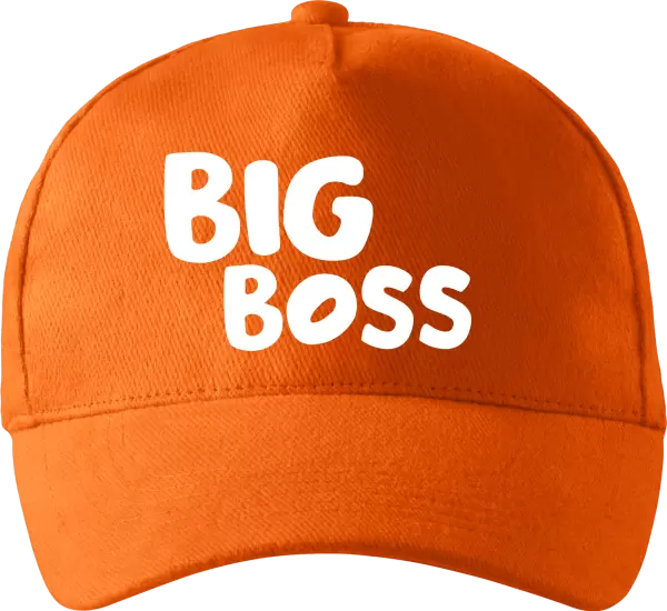 Kšiltovka Big Boss