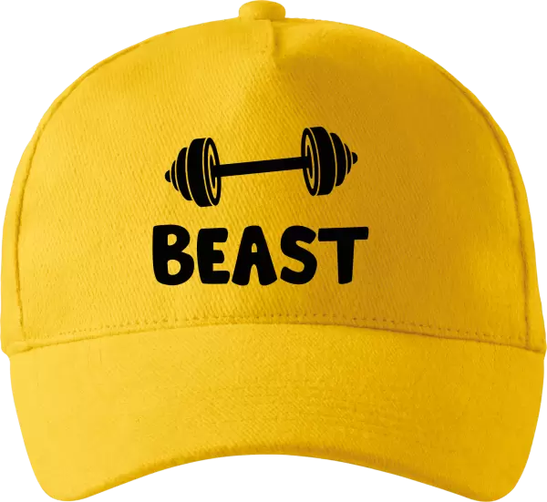 Kšiltovka Beast