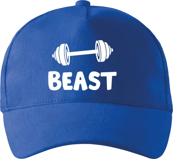 Kšiltovka Beast