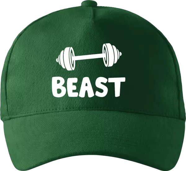 Kšiltovka Beast