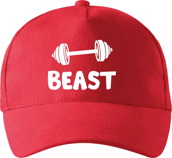 Kšiltovka Beast