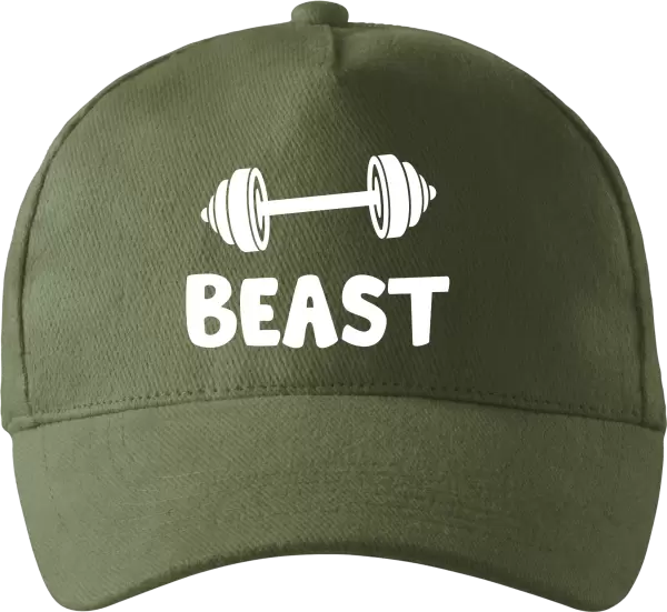 Kšiltovka Beast