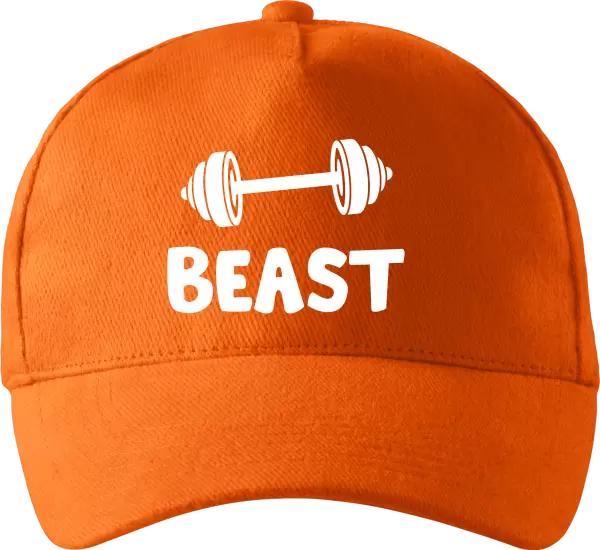 Kšiltovka Beast