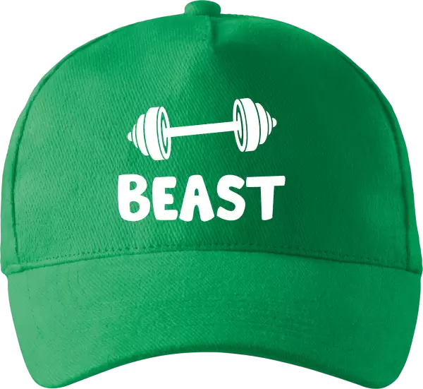 Kšiltovka Beast