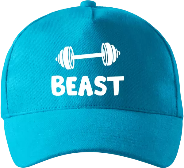 Kšiltovka Beast