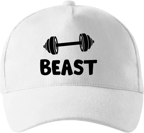 Kšiltovka Beast