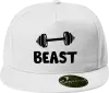 Snapback kšiltovka Beast