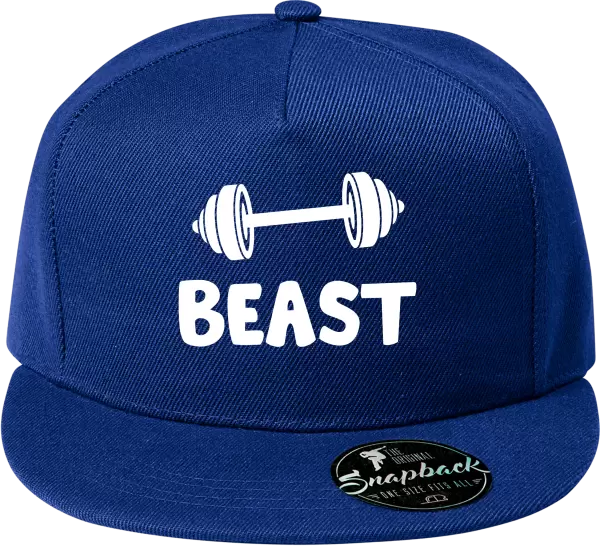 Snapback kšiltovka Beast