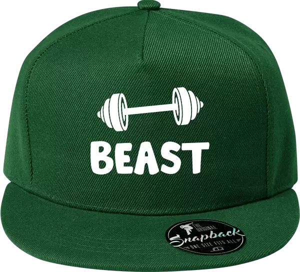 Snapback kšiltovka Beast