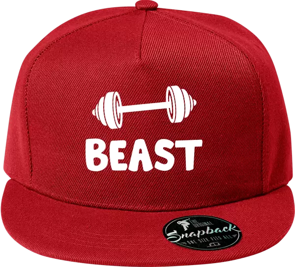 Snapback kšiltovka Beast