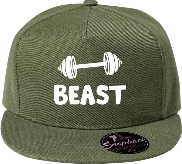 Snapback kšiltovka Beast