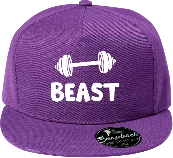 Snapback kšiltovka Beast