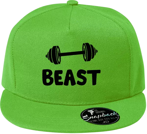 Snapback kšiltovka Beast