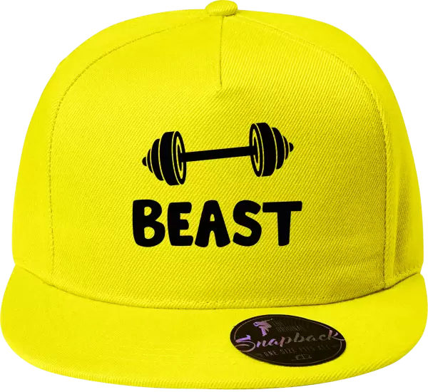 Snapback kšiltovka Beast