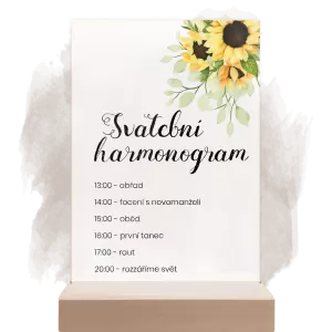 Plexi harmonogram SOLLY