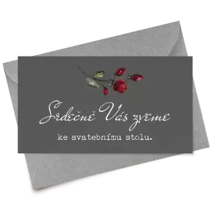 Papírová pozvánka VIVY