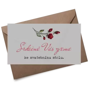 Plexi pozvánka VIVY