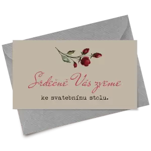 Papírová pozvánka VIVY