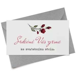 Papírová pozvánka VIVY