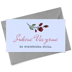 Papírová pozvánka VIVY