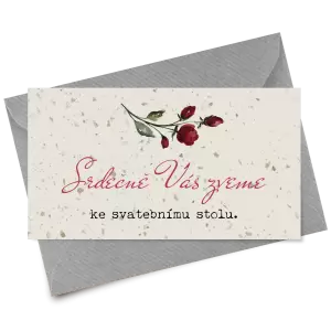 Papírová pozvánka VIVY