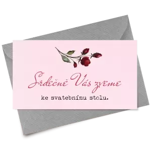 Papírová pozvánka VIVY