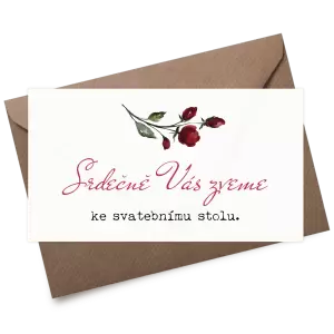 Plexi pozvánka VIVY